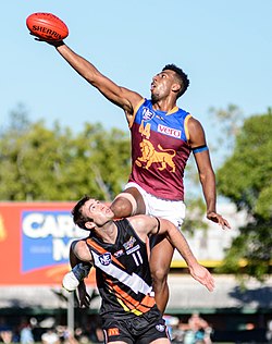 Stats Insider’s AFL Round 9 Betting Tips: Fremantle vs. Collingwood Odds & Predictions