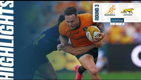 Australia Faces Argentina in Crucial 2025 Rugby Championship Showdown